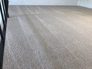 Fresh Clean Carpet