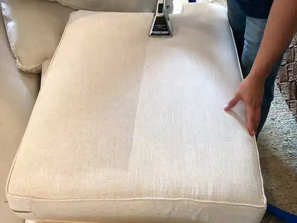 Carpet Cleaning in Torrance