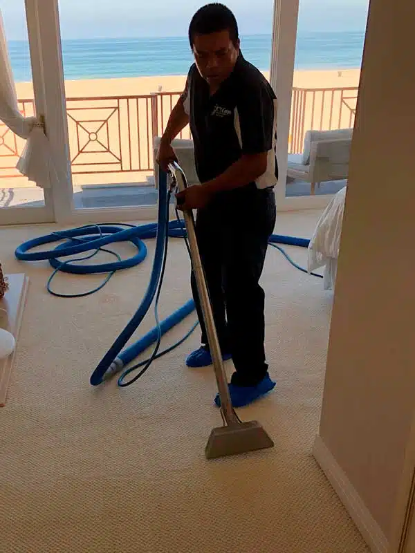 Carpet Cleaning in Torrance